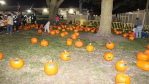 IMG_9746.JPG